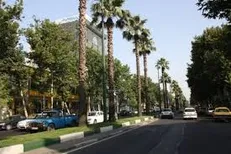 شهرداری برای سامانه اطلاعات مکانی درختان فکری کند