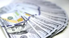 ارز تولید در سامانه «نیما» قابل دریافت است