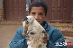 اردوی جهادی دانشجویان بسیجی دانشگاه آزاد آبادان