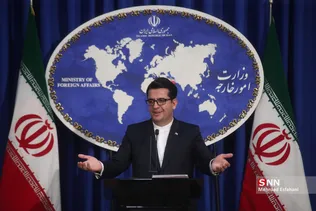  سید عباس موسوی سخنگوی وزارت امور خارجه