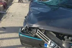 تصادف پژو با تریلی ۳ کشته برجای گذاشت