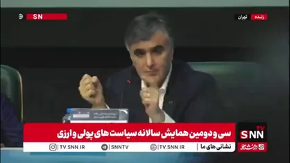 فرزین: تصویری که از ریال ایران در خارج از کشور وجود دارد درست نیست