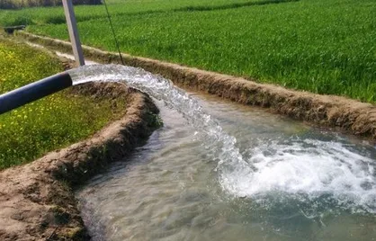 مخالفت جهاد کشاورزی با راه&zwnj;اندازی بازار آب