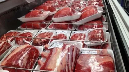 مدیرعامل اتحادیه دامداران: بازار سیاه نهاده&zwnj;ها جمع شد / قیمت کارشناسی گوشت حدود ۶۰۰ هزار تومان + فیلم