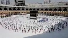 ابراز تاسف مسئولان بعثه ایران و عراق از تعطیلی مجدد حج