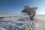 برف1