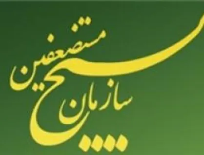 نسل کشی مسلمانان میانمار باید سریعاً با فشار کشورهای اسلامی متوقف شود/ دعوت از وزارت خارجه برای اقدام عملی