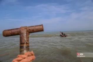 new