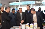 نمایشگاه