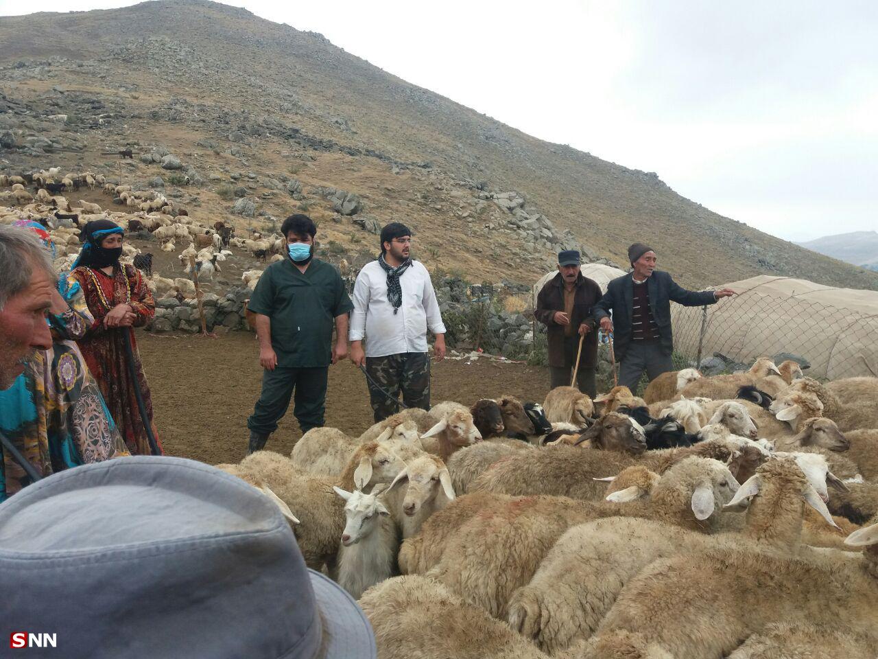 اردوی جهادی