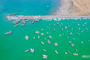 بریس