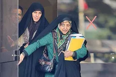 ستاد ملی خانواده و احیای «فمینیسم» شکست‌خورده