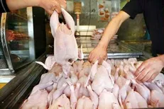 قیمت مرغ قطعه‌بندی و بسته‌بندی شده اعلام شد