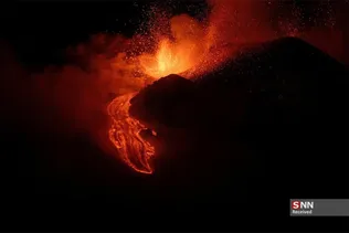 54654654