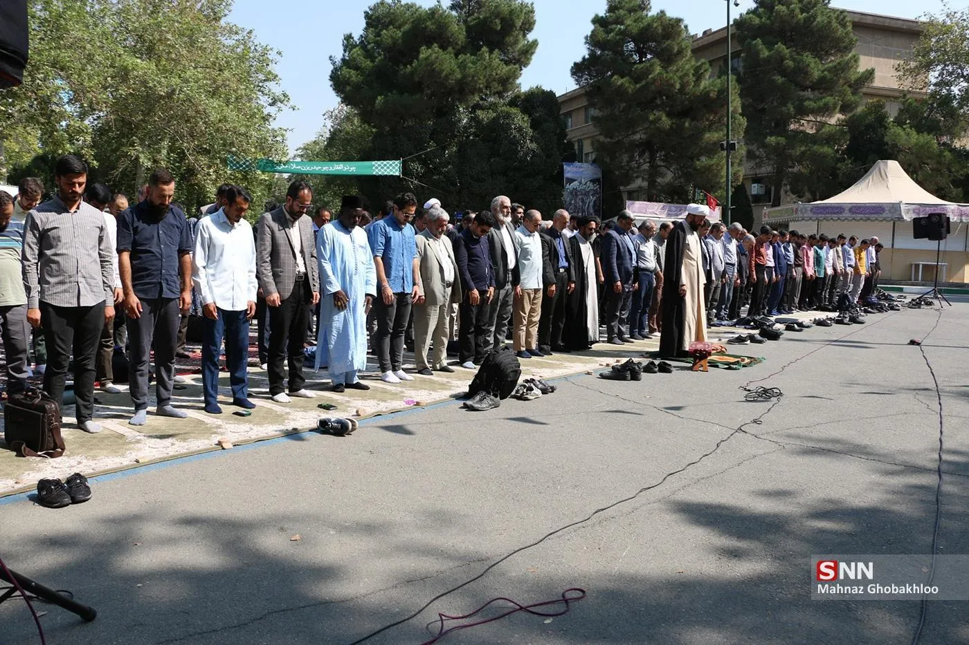 دانشگاه تهران