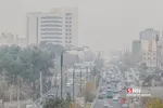 ثصفل