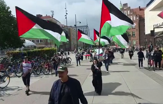 اجتماعات در مالمو سوئد در حمایت از فلسطین