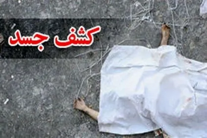 کشف 9 جسد داخل یک کامیون + عکس و فیلم
