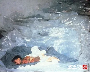 ناو