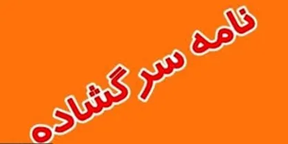اثرات سوء تصویب طرح &laquo;افزایش قانونی سن ازدواج&raquo; بر آینده جوانان و تشدید بحران جمعیت کشور