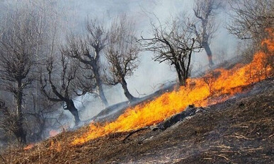 آتش‌سوزی در ارتفاعات کبیرکوه ۱۵ هکتار از جنگل‌های دره‌شهر را خاکستر کرد