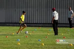 انصاری