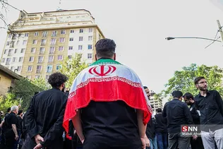 سیلشس