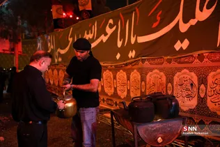 دبب