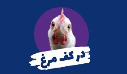 روز شعر طنز دوش/در کف مرغ