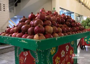 yalda
