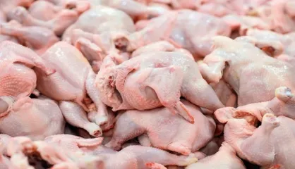 قیمت مرغ تا پایان سال تغییر چندانی ندارد