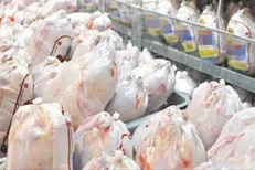 قیمت انواع گوشت مرغ تازه، بسته بندی و قطعه بندی اعلام شد