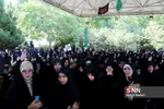 شاهرخ