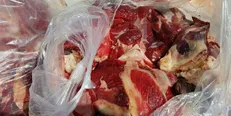 کشف ۵۰۰ کیلوگرم گوشت قرمز غیربهداشتی در شهرستان دورود
