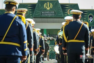 دبب