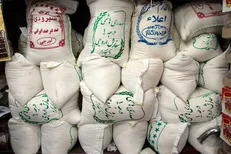 نبود زنجیره تأمین شفاف، بازار برنج را به دلالان سپرد