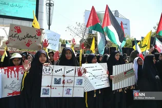 دبب