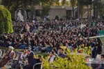 دانشگاه مشهد