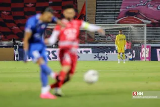 دبب