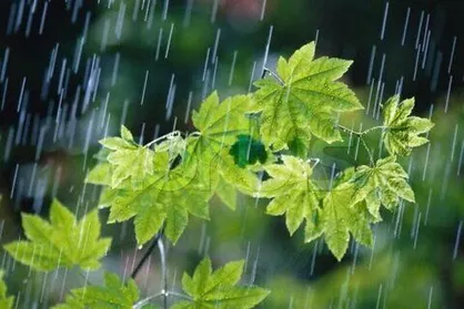 رگبار باران در نقاط مختلف کشور/ تجربه دمای ۵۰ درجه در اهواز