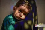 همایش شیرخوارگان حسینی در شیراز