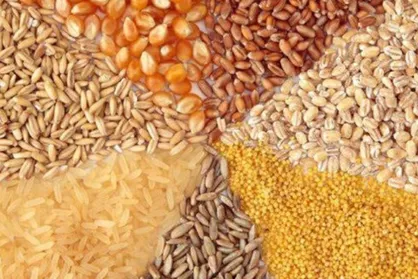 دماوندی&zwnj;نژاد: مطالبات دامداران و مرغداران در حوزه نهاده تا آخر مهر تحویل می&zwnj;شود