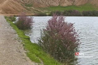 عبدل اباد پر 