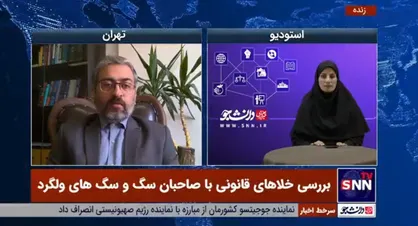 قانون مشخصی در خصوص جرم سگ&zwnj;گردانی وجود ندارد + فیلم