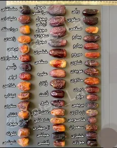 میان وعده شیرین با ارزش غذایی بالا
