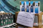 طرح رعد پلیس پیشگیری