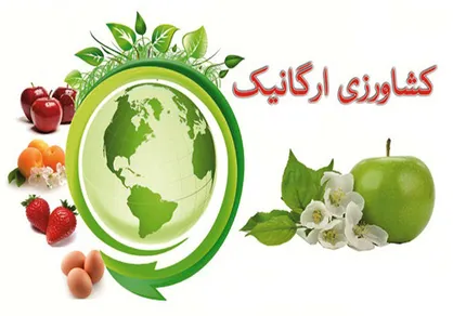 افزایش ۱۵ درصدی مصرف محصولات ارگانیک