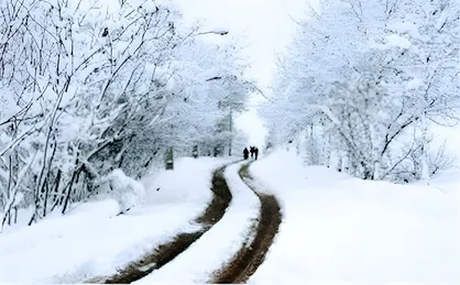 بستن زنجیر چرخ در معابر کوهستانی گلستان الزامی شد