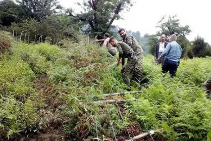 کشف زمین خواری و رفع تصرف زمین ملی در صومعه سرا