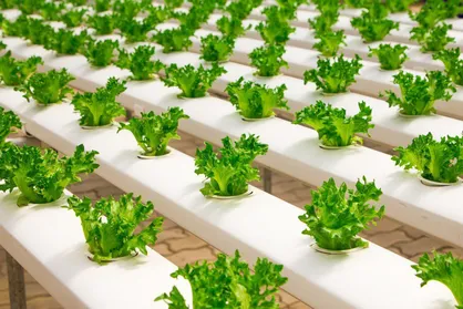 تاخیر سه ساله در اجرای تفاهم&zwnj;نامه وزارت جهاد و بسیج؛ تکلیف هوشمندسازی زنجیره تولید تا توزیع محصولات کشاورزی چه می&zwnj;شود؟